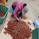 만재농장 이미지