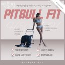 핏불핏 | 경남 창원 해운동 헬스장 핏불핏 할인 이벤트 혜택 PT 가격