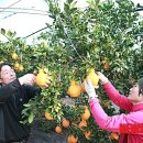 부농축산 이미지