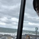 사슴상회 이미지