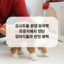 유어라운지 이미지