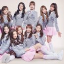 아이오아이 카카오 검색결과