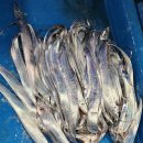 화원 별암리 이미지