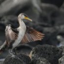 꽃주렁 나무주렁 캠핑장 이미지