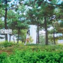고광고