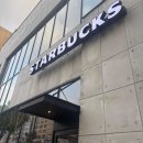 망고&체리 애견샵 이미지