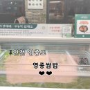 구읍씨 | [인천 영종도] 영종도 구읍뱃터 내돈내산 맛집 영종쌈밥에서 건강한 한 끼