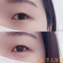 광안리속눈썹펌 르무드 부산 유지력 좋고 손상 적은 딥무드클리닉펌