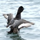 노을해안로 이미지