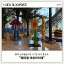아쿠아해상체험관 | 아이와 함께 방문한 광주 매곡동 아쿠아시티 내돈내산 평일 방문후기