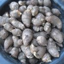 가을농장 이미지