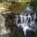 황룡산장 이미지