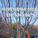 작목반장 추천하는 조경수 이미지