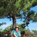 빨간집민박 이미지