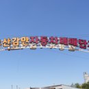 안심모터스 이미지