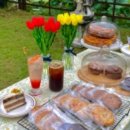 디저트포레스트 이미지