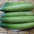 재미농장 이미지