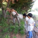 (주)호성