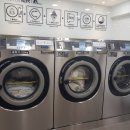 크린수유 이미지