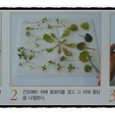 잔누르미 이미지