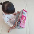 꾸러기 펫 이미지