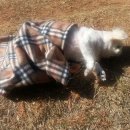 선산동물병원 이미지