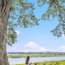 조안면 축구장[송촌-10] | 서울에서 1시간! 20대가 열광하는 핫한 여름 힐링 스팟 TOP 4 (feat. 무료입장)