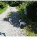 개울건너 펜션 이미지