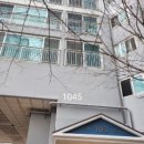 신재초교 이미지