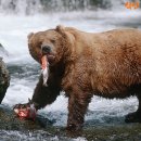 강가에서 이미지