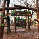 오목문화 유아숲체험원 이미지