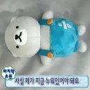 송아공방 | 2박3일 동안 덕질만 하는 이야기