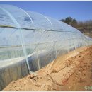 봄바람하우스 이미지