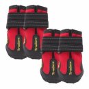 보라애견 이미지