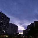 한빛중학교 정문 이미지