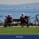 마운틴262