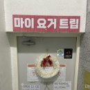 마이요거트립광주 - 서구 월드컵4강로 209 | 마이요거트립광주