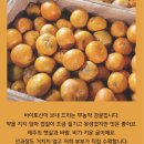 시우네민박 이미지