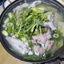 거진포구
