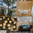 문척-3 | 구례 바꿈살이 구경하기 좋은 소품샵 고양이 주차 우체국의 변신