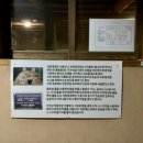 치악산한증막 이미지