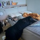장스여성병원 | 39주 5일 자연분만 출산 기록(초산, 3.04kg, 진진통16시간, 감통방법, 고프론 추천, 장스여성병원)