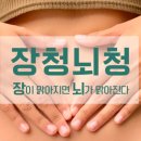 브레인건강센터
