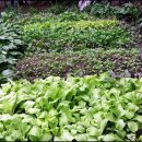 나자바바라 이미지