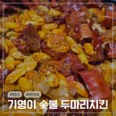 기영이숯불두마리치킨전주평화점 | 기영이숯불두마리치킨, 입맛 폭발하는 한 끼 대참사(?)