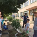 청소초등학교 이미지