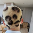 모전자전 이미지