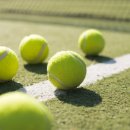 사림로99번길 이미지