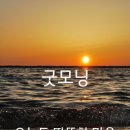 아침햇살 - 부산진구 동천로107번길 12-9 | 아침햇살