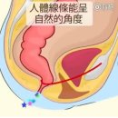 '당신이 알고 있던 자세는 틀렸다' 변기에 제대로 앉는 법 이미지